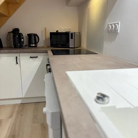 L'estanot Est Un T2 De 45 M2 Equipe D'une En Mezzanine Et D'un Vrai Lit Dans Un Large Salon, Cuisine Equipe, Parking Privee, Proche Du Centre Thermale Et Des Commerces Διαμέρισμα *