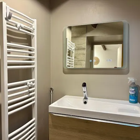 Apartmán L'estanot Est Un T2 De 45 M2 Equipe D'une En Mezzanine Ouverte Et D'un Vrai Lit En 140 Dans Un Large Salon, Cuisine Equipee, Un Parking Prive, Proche Du Centre Thermal Et Des Commerces Balaruc-les-Bains