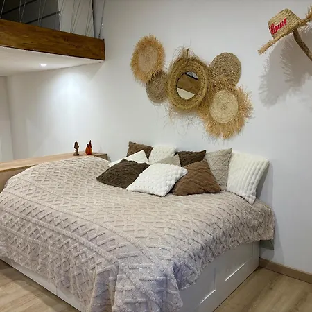 L'estanot Est Un T2 De 45 M2 Equipe D'une En Mezzanine Et D'un Vrai Lit Dans Un Large Salon, Cuisine Equipe, Parking Privee, Proche Du Centre Thermale Et Des Commerces Διαμέρισμα Balaruc-les-Bains