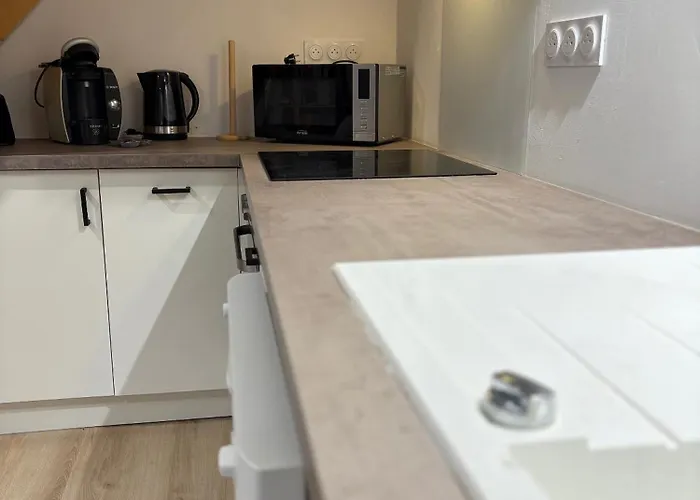 T2 De 45 M2 Equipe D'une En Mezzanine Et D'un Vrai Lit Dans Un Large Salon, Cuisine Equipe, Parking Privee, Proche Du Centre Thermale Et Des Commerces Lägenhet *
